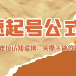 (4854期)极速起号公式,个人ip起号与定位认知逻辑,实操干货分享(无中创水印)