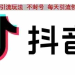 (4848期)抖音语音交流引流创业粉玩法,流量爆炸,一天创业粉100+