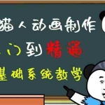 (4828期)豆十三抖音快手沙雕视频教学课程,快速爆粉,月入10万+(素材+插件+视频)