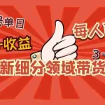 (4827期)2023新细分领域带货计划:单号单日1000+收益不难,每人可操作3-5个账号