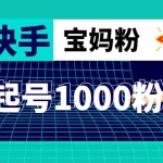 (4818期)抖音快手三天起号涨粉1000宝妈粉丝的核心方法【详细玩法教程】