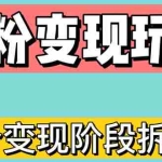 (4808期)0-1快速了解男粉变现三种模式【4.0高阶玩法】直播挂课,蓝海玩法