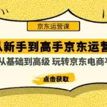 （4792期）从新手到高手京东运营培训：从基础到高级 玩转京东电商平台(无中创水印)