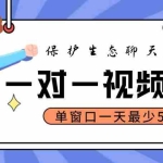 (4788期)最新保护生态一对一视频挂机聊天项目,单窗口一天最少50+【永久脚本+教程】