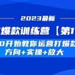 (4784期)淘宝爆款训练营【第11期】 从0开始教你运营打爆款,方向+实操+放大
