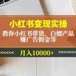(4780期)小红书变现实操:教你小红书带货,白嫖产品,赚广告佣金等,月入10000+