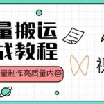 (4762期)视频号批量搬运实战赚钱教程,傻瓜式批量制作高质量内容【附视频教程+PPT】
