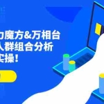 (4709期)达摩盘引力魔方&万相台投放课:人群组合分析,高效投放实操!