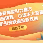 (4708期)最新淘宝引力魔方低价引流实操:小成本大流量,低价引流快速拉新收割