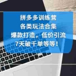 (4693期)拼多多训练营:各玩法合集,爆款打造,低价引流,7天破千单等等!