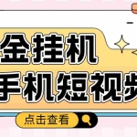 (4666期)外面收费1980的手机短视频挂机掘金项目,号称单窗口5的项目【软件+教程】
