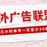 (4662期)外面收费1980最新国外LEAD广告联盟搬砖项目,单号一天至少30美金(详细教程)