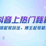 (4650期)抖音上热门秘籍:15种自然流起号玩法,博主起号最新流量密码
