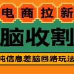 (4640期)【信息差项目】外面收费588的电商拉新收割机项目【全套教程】
