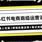 (4638期)小红书电商高级运营课程:基础入驻篇+商城流量运营+笔记流量运营