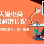 (4633期)淘宝天猫电商七层盈利增长课:月入N万的爆款底层逻辑,提升销量!