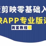 (4631期)电脑版剪映零基础入门教程+剪映APP专业版课程(两套教程)