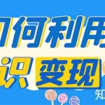 (4608期)知识IP变现训练营:手把手带你如何做知识IP赚钱,助你逆袭人生!