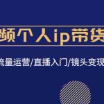 (4595期)短视频个人ip带货变现:爆款文案/流量运营/直播入门/镜头变现/流量商业