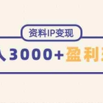 (4576期)资料IP变现,能稳定日赚3000起的持续性盈利玩法