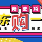 (4570期)外面收费1980的最新京东无限一分购项目,一天轻松几百单(玩法+教程+软件)