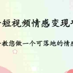 （4541期）抖音短视频情感变现项目：手把手教您做一个可落地的情感账号