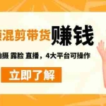 (4528期)短视频带货赚钱混剪特训营:无需囤货发货 拍摄 露脸 直播,4大平台可操作