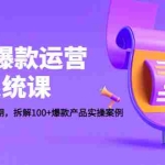(4523期)电商爆款运营系统课:迎接未来10年红利期,拆解100+爆款产品实操案例