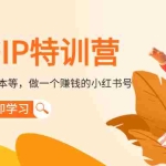 (4521期)小红书IP特训营:从搭建-制作-爆款脚本等等,做一个赚钱的小红书号