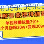 （4455期）20天视频号变现特训营：单视频播放量2亿+3个月涨粉30w+变现20w+