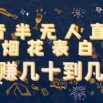 (4431期)抖音半无人直播烟花表白,日赚几十到几百(教程+视频模板素材)