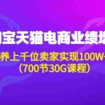 (4409期)淘系天猫电商业绩增长:已培养上千位卖家实现100W+利润(700节30G课程)