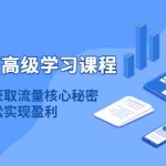 (4385期)淘宝运营高级学习课程:快速获取流量核心秘密,轻松实现盈利!