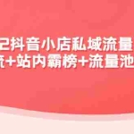 (4359期)2022抖音小店私域流量引爆课:站外引流+站内霸榜+流量池玩法等等!