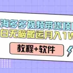 (4343期)人人都能操作的蓝海多多视频带货项目 小白无脑搬运月入10000+(教程+软件)
