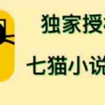 (4294期)七猫小说推文(全网独家项目),个人工作室可批量做【详细教程+技术指导】