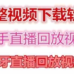 (4285期)快手直播回放视频/虎牙直播回放视频完整下载(电脑软件+视频教程)