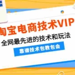 (4274期)淘宝电商技术VIP,全网最先进的技术和玩法,靠谱技术包教包会(更新106)