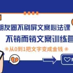 (4261期)朋友圈不刷屏文案心法课:不销而销文案训练营,从0到1把文字变成金钱