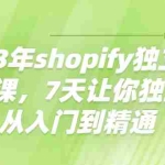 （4230期）2023年shopify独立站运营课，7天让你独立站从入门到精通