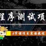 (4226期)小程序测试项目 从星图 搞笑 网易云 实拍 单品爆破 抖音抖推猫小程序变现
