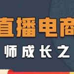 (4200期)直播电商高手成长之路:教你成为直播电商大师,玩转四大板块(25节)
