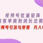 (4193期)视频号批量矩阵的高客单高利润玩法揭秘: 视频号引流与变现 月入10W+