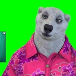 (4181期)实时直播换脸卡通形象出镜,卡通形象面部捕捉(软件+教程)