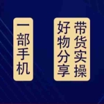 (4178期)好物分享高阶实操课:0基础一部手机做好好物分享带货(24节课)