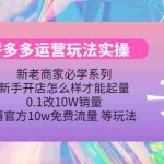 (4160期)拼多多运营玩法实操,0.1改10W销量,薅官方10w免费流量 等玩法!