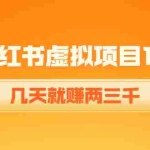 (4131期)《小红书虚拟项目1.0》账号注册+养号+视频制作+引流+变现,几天就赚两三千