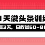 (4129期)被忽视的微头条,21天微头条训练营,实操3天,日收益60-80不等