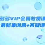 (4127期)某社群·拼多多VIP会员收费课程,最新集训营+答疑课-价值3299元