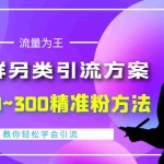 (4122期)外面收费888元的QQ群另类引流方案:日200~300精准粉方法